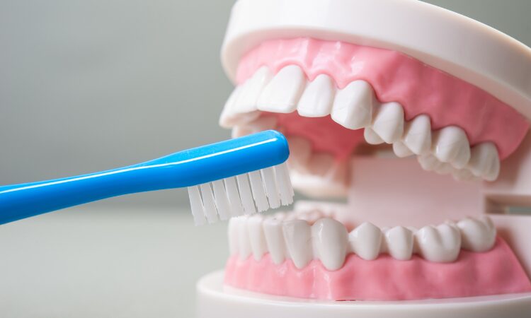 Oral Hygiene for Denture Wearers